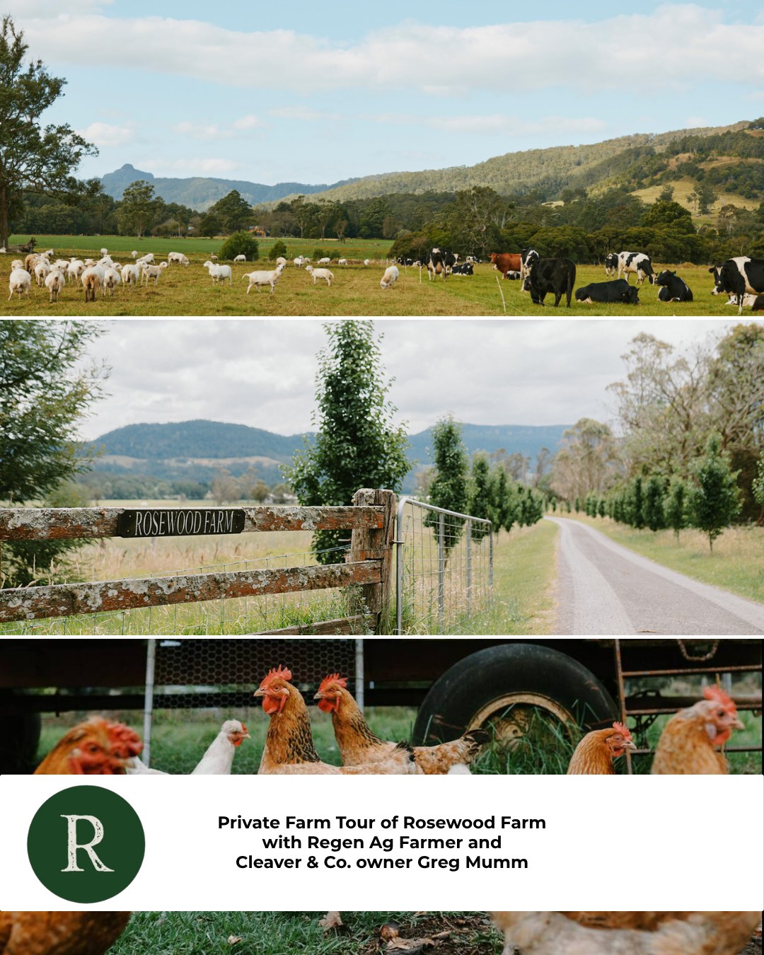 Private Farm Tour of Rosewood Farm with Regen Ag Farmer and Cleaver & Co. owner Greg Mumm
